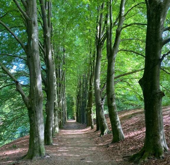 Appartement Osso Arnhem