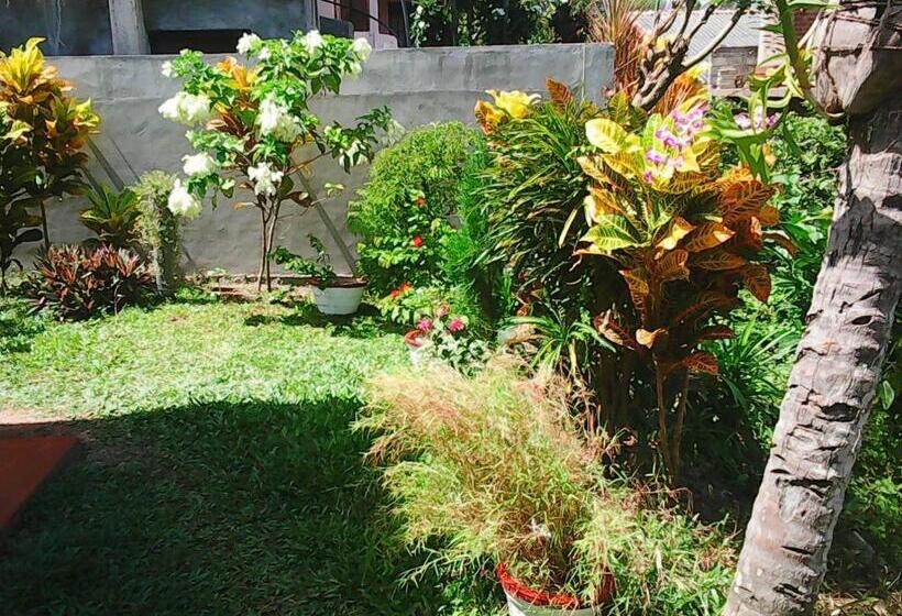 تختخواب و صبحانه Bentota Orchid House