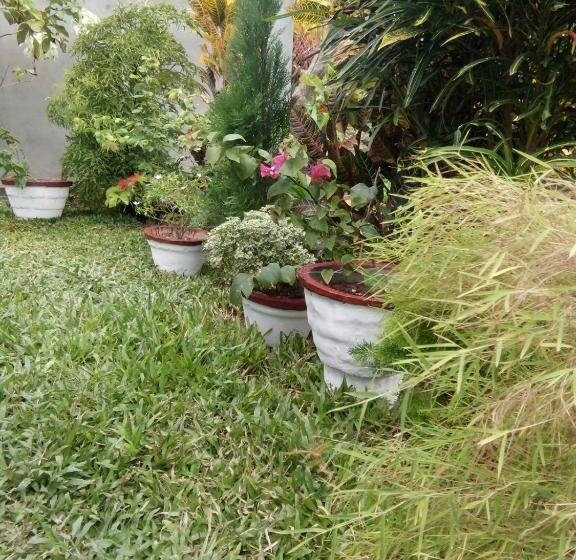 تختخواب و صبحانه Bentota Orchid House