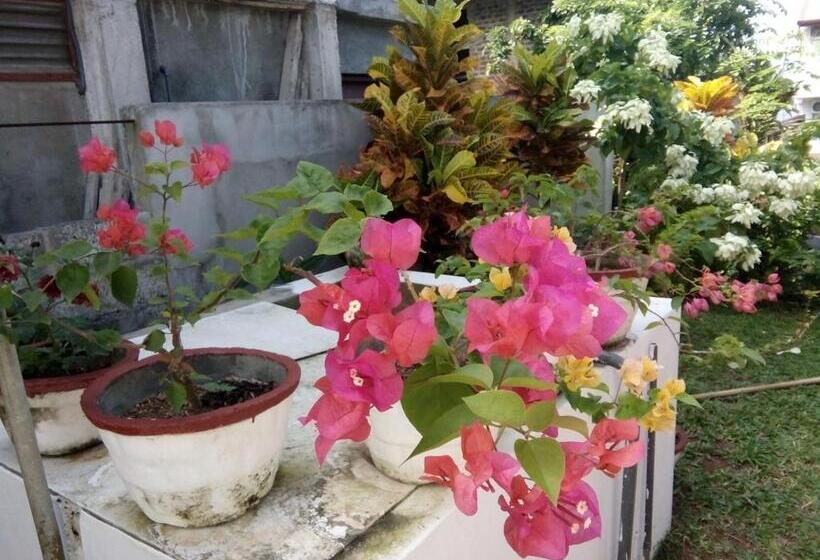 تختخواب و صبحانه Bentota Orchid House