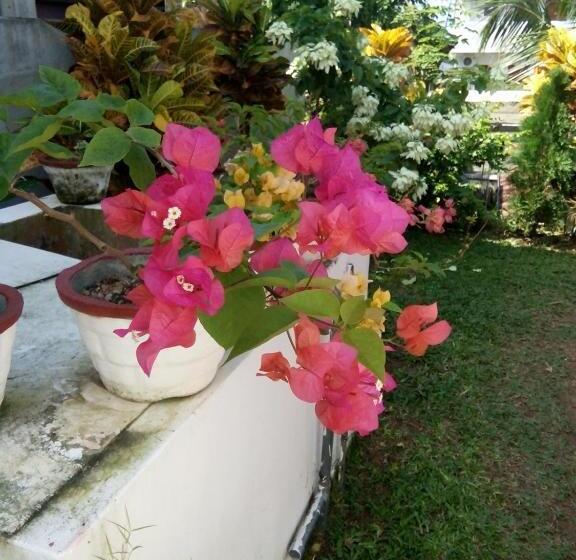 تختخواب و صبحانه Bentota Orchid House