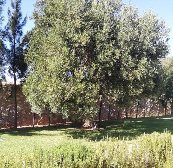 تختخواب و صبحانه Dar Yanis