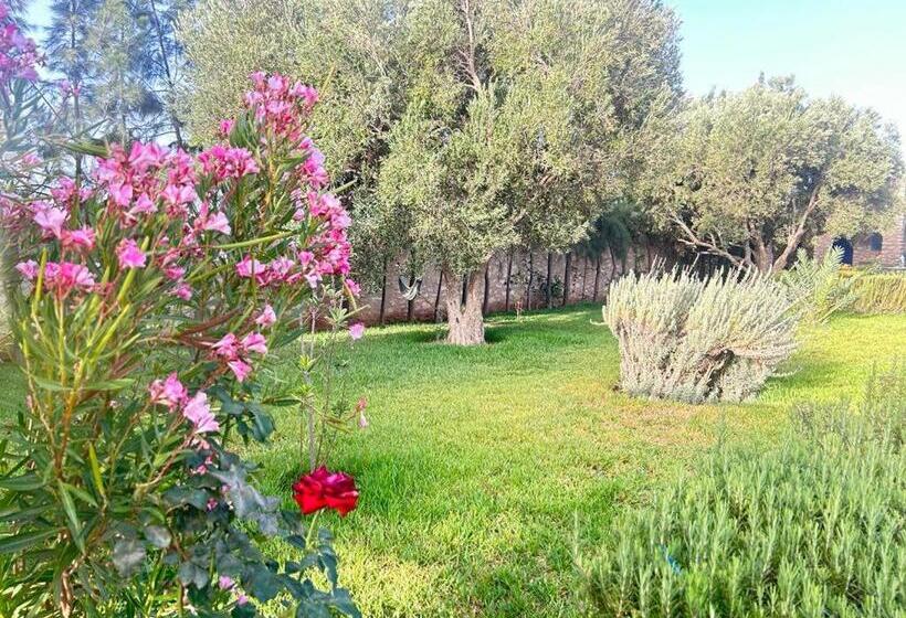 تختخواب و صبحانه Dar Yanis