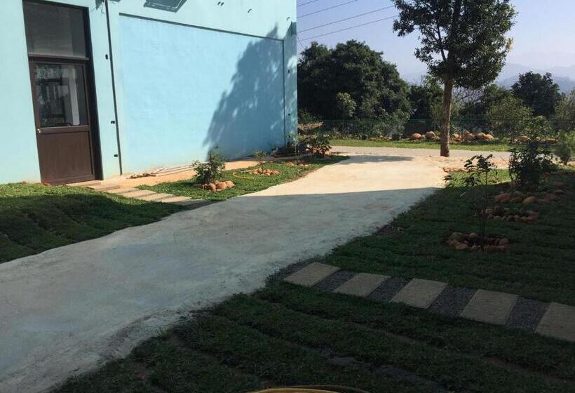 تختخواب و صبحانه 巨缿民宿巨象民宿