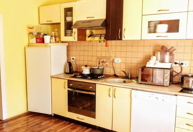 Pension (Hôtel basse catégorie) гостьовий дім у ані