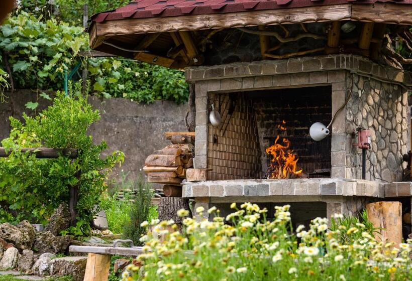 Pension (Hôtel basse catégorie) андреева къща