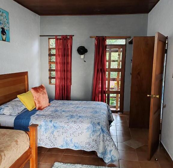 住宿加早餐  La Ceiba Tree Lodge