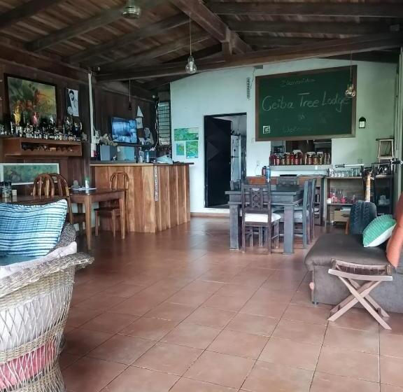 住宿加早餐  La Ceiba Tree Lodge