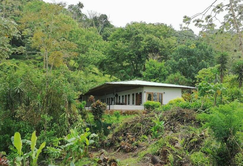 住宿加早餐  La Ceiba Tree Lodge