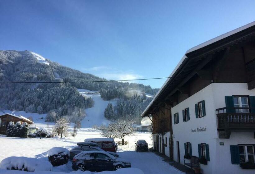 Bed and Breakfast Pension Klausnerhof