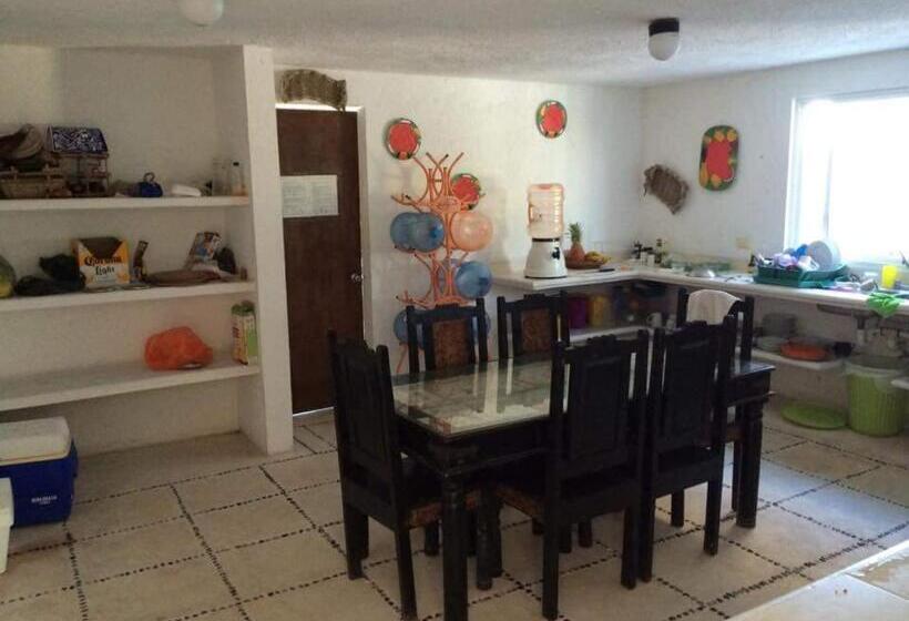 پانسیون Casa Amor Pto Morelos