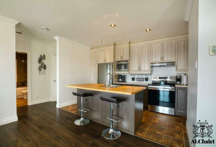 Le Chic Condo   Chute Montmorency