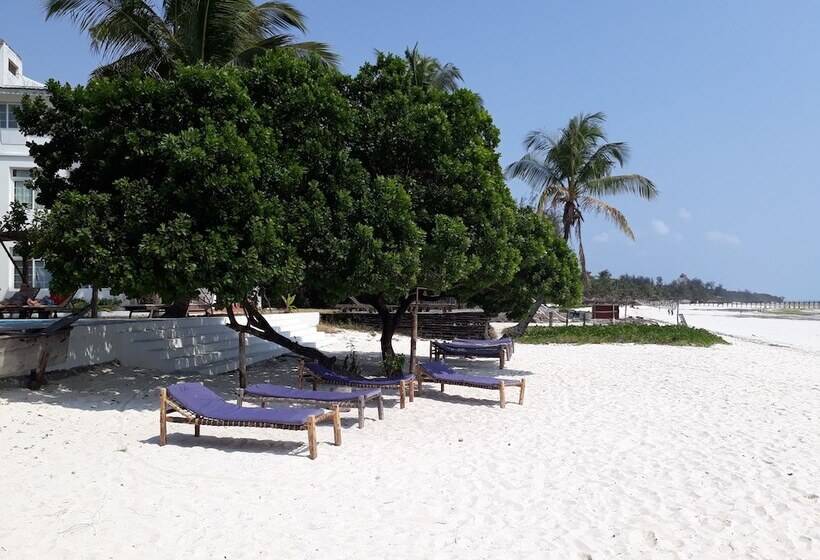 فندق Albatross Ocean View