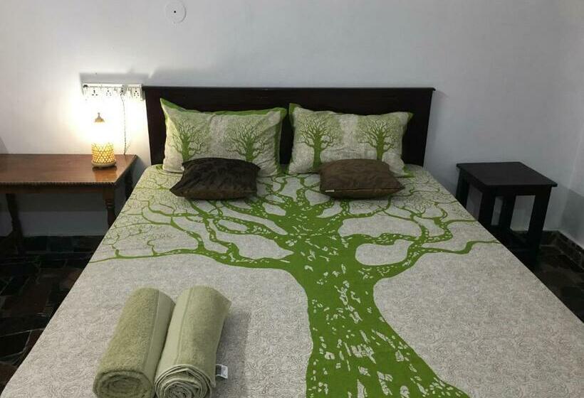 پانسیون Zen House