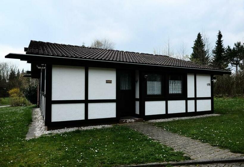 Курорт Holiday Park  Scout