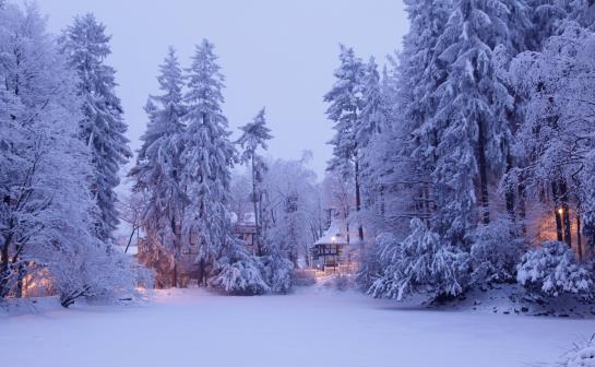 Hotel Bukowy Dworek