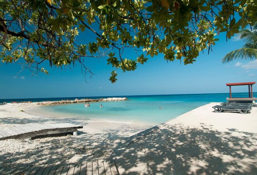 هتل Chogogo Dive & Beach Resort Curacao