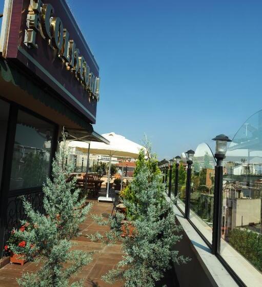 Fotos del hotel Coliseum:  12