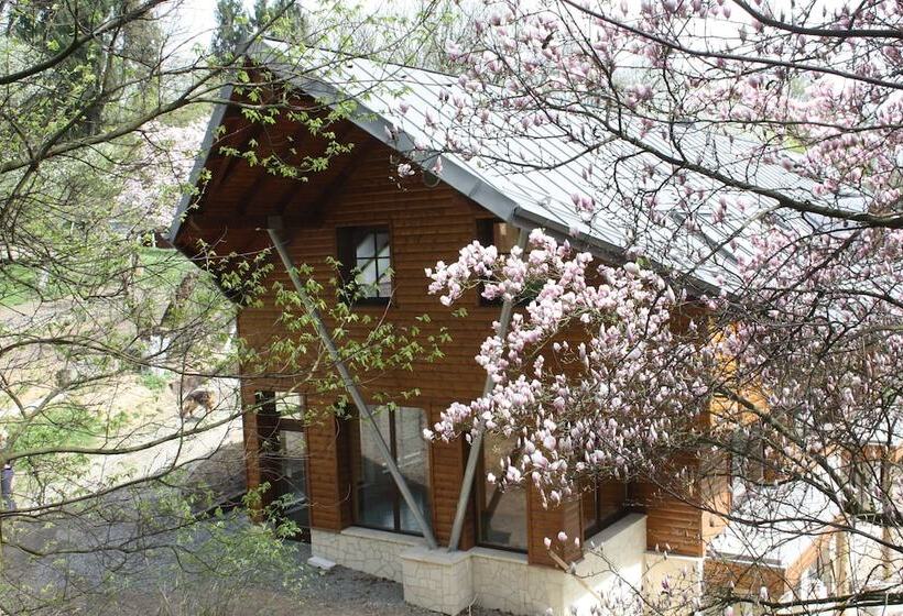 Fotos del hotel Ekosamotnia:  14