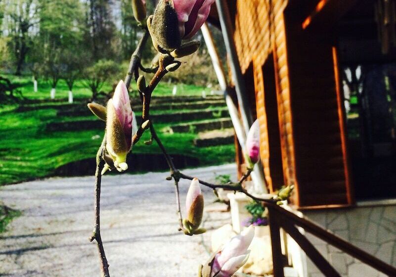 Fotos del hotel Ekosamotnia:  4