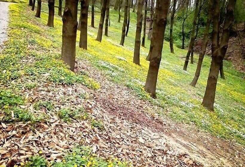 Fotos del hotel Ekosamotnia:  8