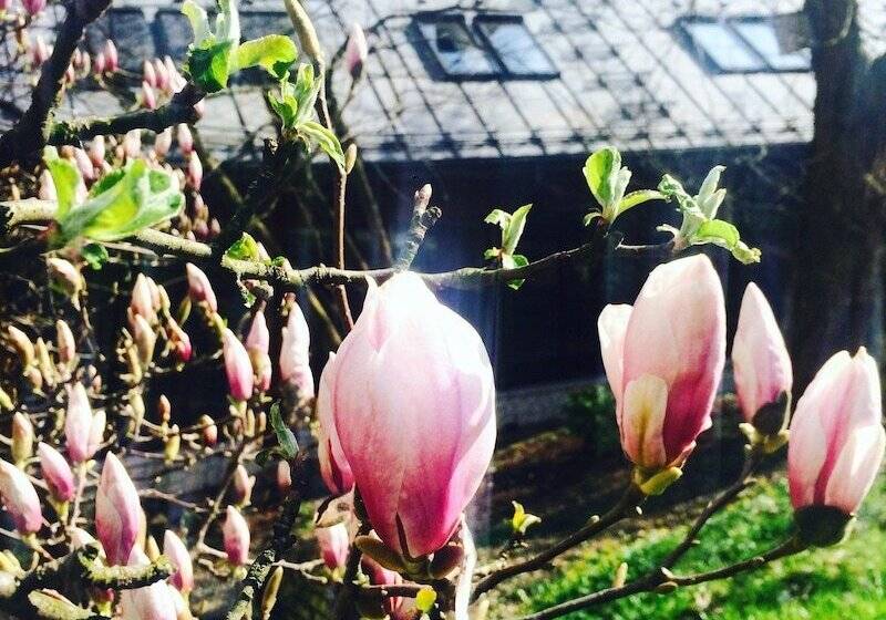 Fotos del hotel Ekosamotnia:  15