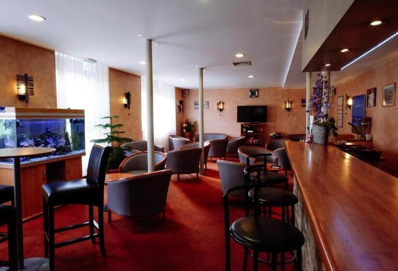 هتل Hôtel Pedussaut