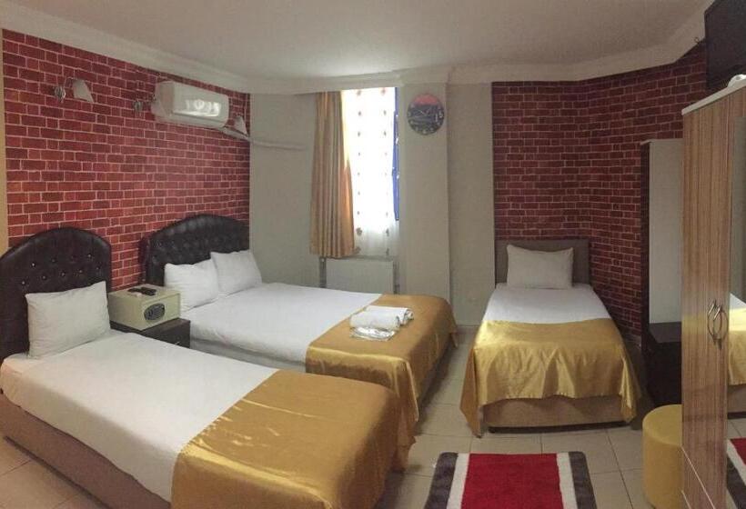 Fotos del hotel Lotus:  2