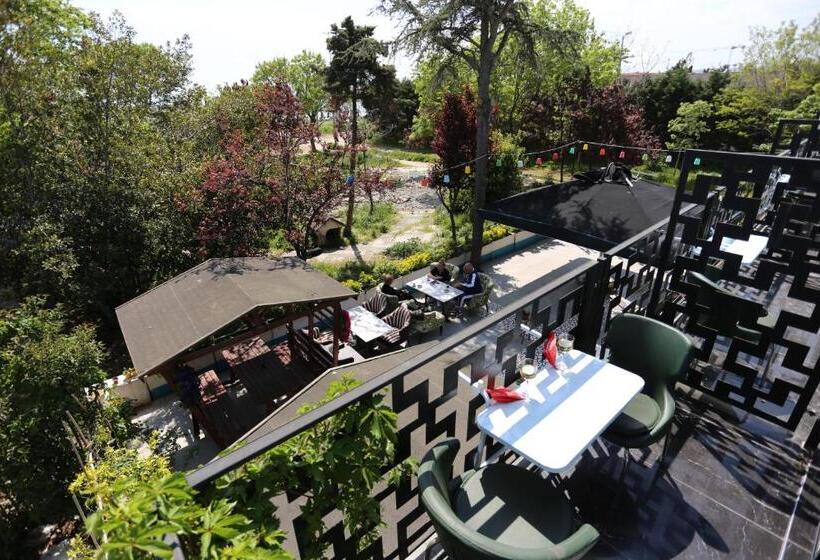 Fotos del hotel Turkuaz Boutique:  20