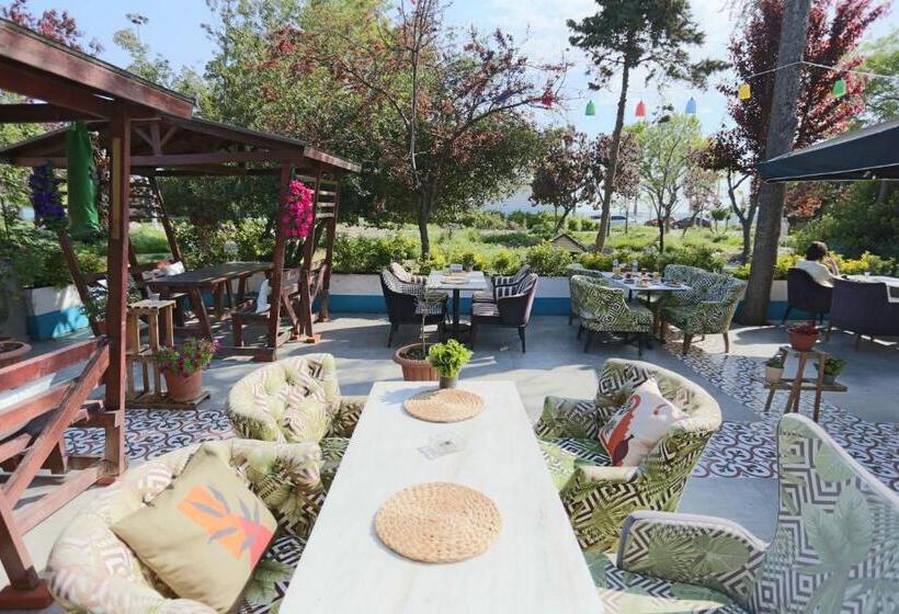 Fotos del hotel Turkuaz Boutique:  15