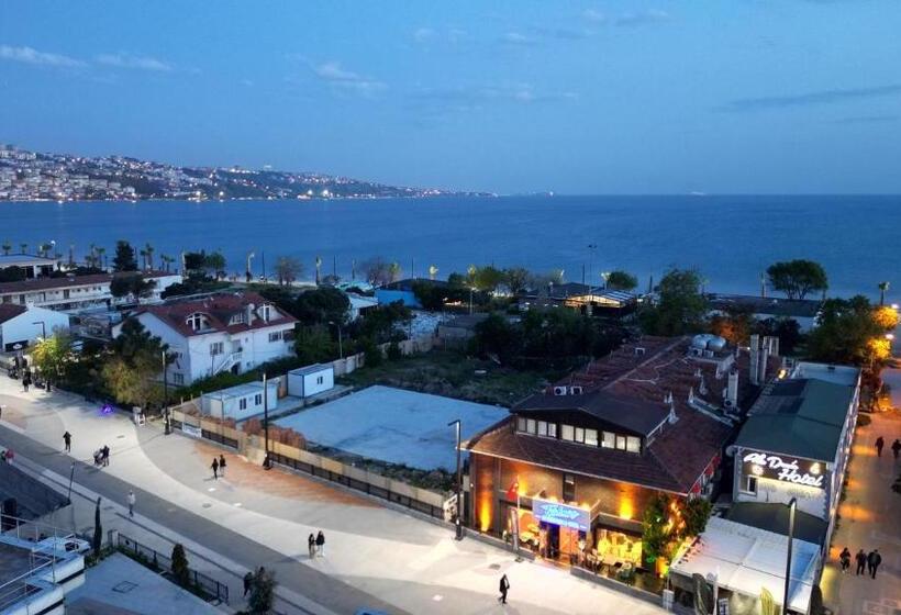 Fotos del hotel Turkuaz Boutique:  9