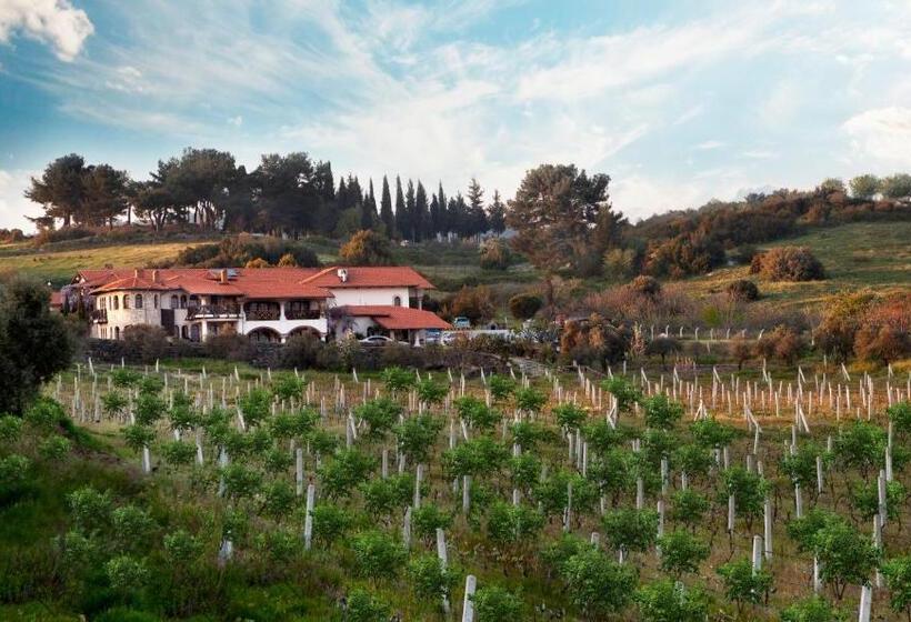 هتل Vinifera Vineyards