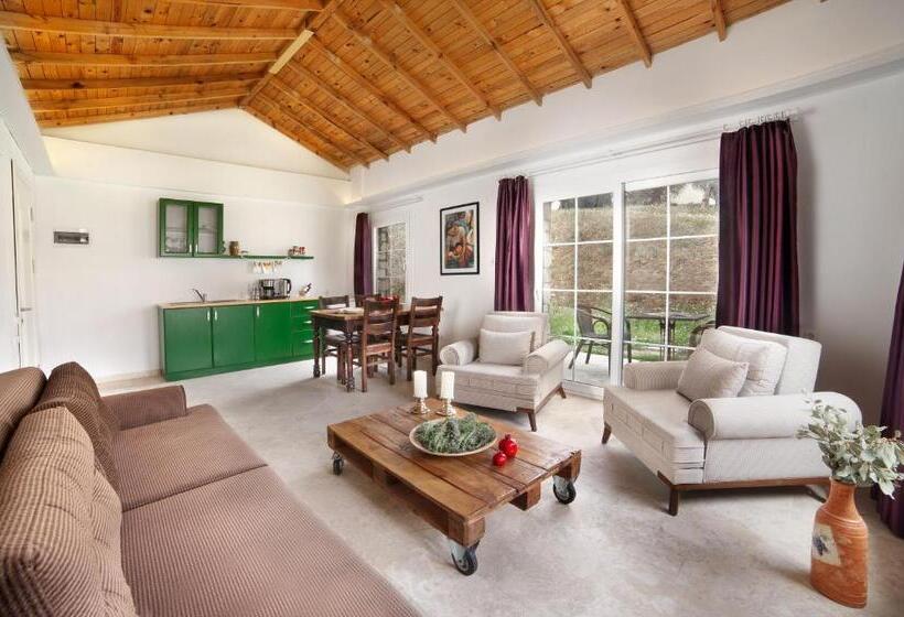 هتل Vinifera Vineyards