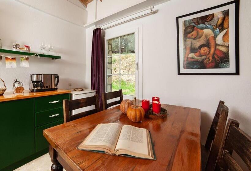 هتل Vinifera Vineyards