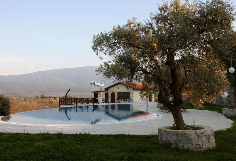 هتل Vinifera Vineyards