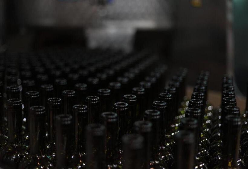 هتل Vinifera Vineyards