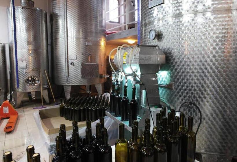 هتل Vinifera Vineyards