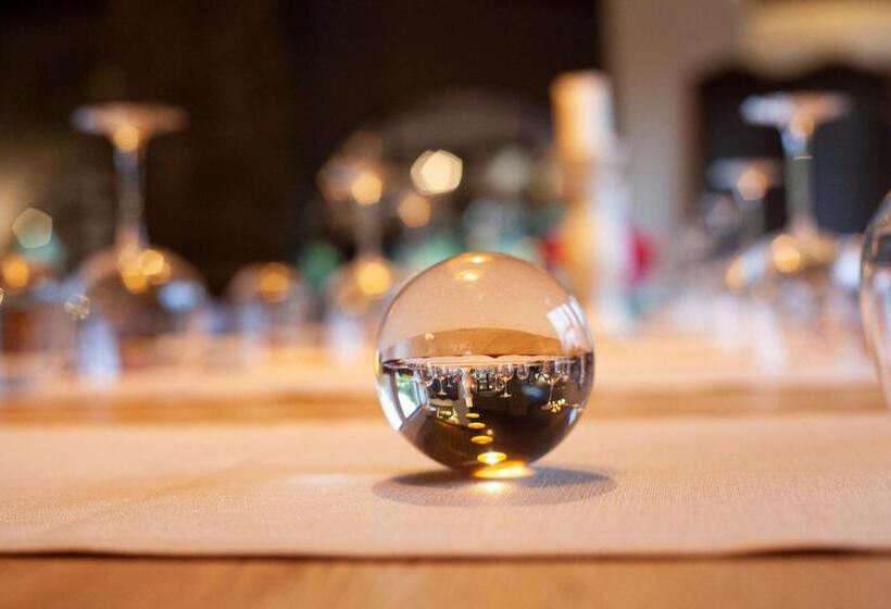 هتل Vinifera Vineyards