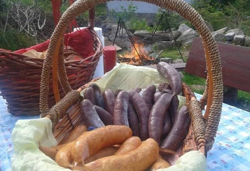 هتل Zającówka   Idealna Lokalizacja   Leśna Enklawa W Centrum Miasta! Sauna, Masaże, Zabiegi Spa!