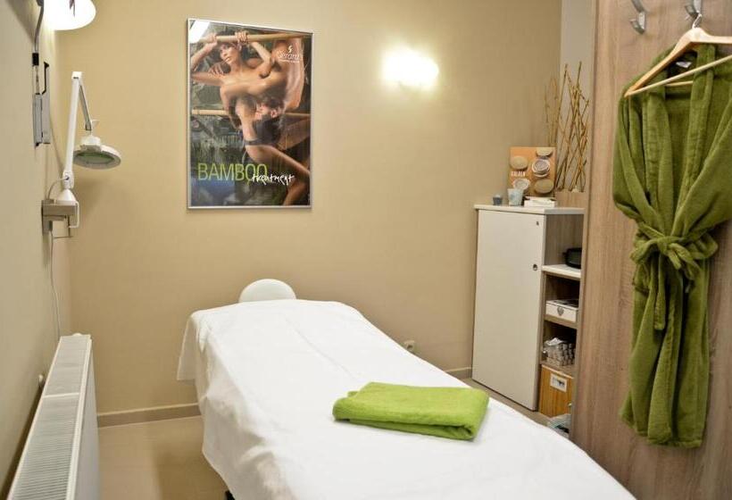 پانسیون U Kozicky