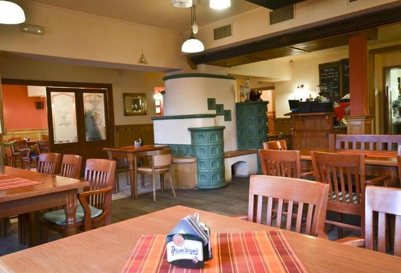 پانسیون U Kozicky