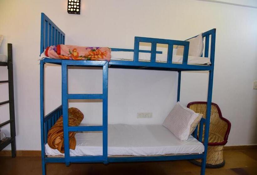 فندق صغير Wonbin Safari Jaisalmer