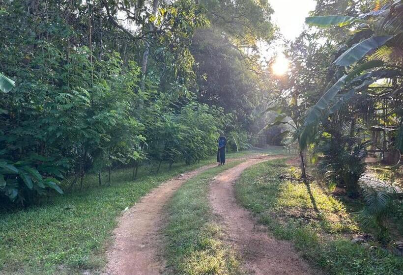 تختخواب و صبحانه City Paradise Dambulla