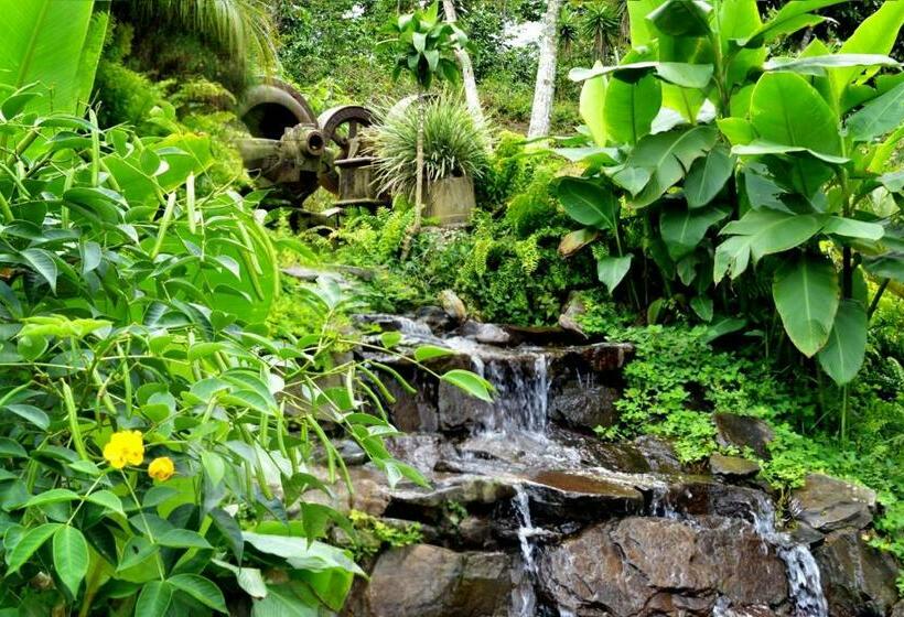 هتل Finca Hamburgo La Ruta Del Cafe