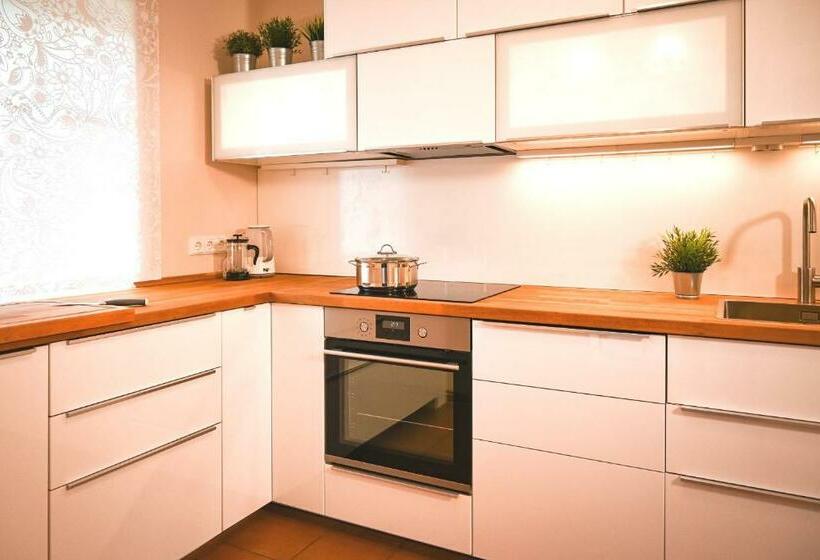 An Der Freihaushöhe