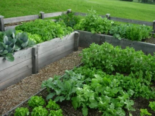 בית מלון כפרי Ferienwohnungen Mittermoos