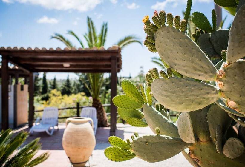 Vecchia Masseria