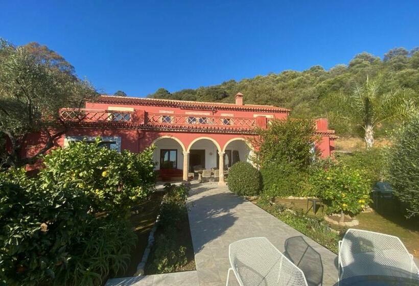Finca Olivar