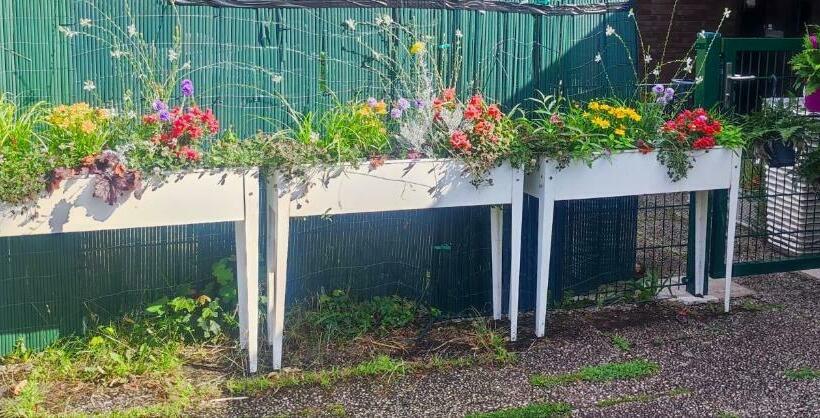 Uni Nähes Apartmenthaus Mit Garten