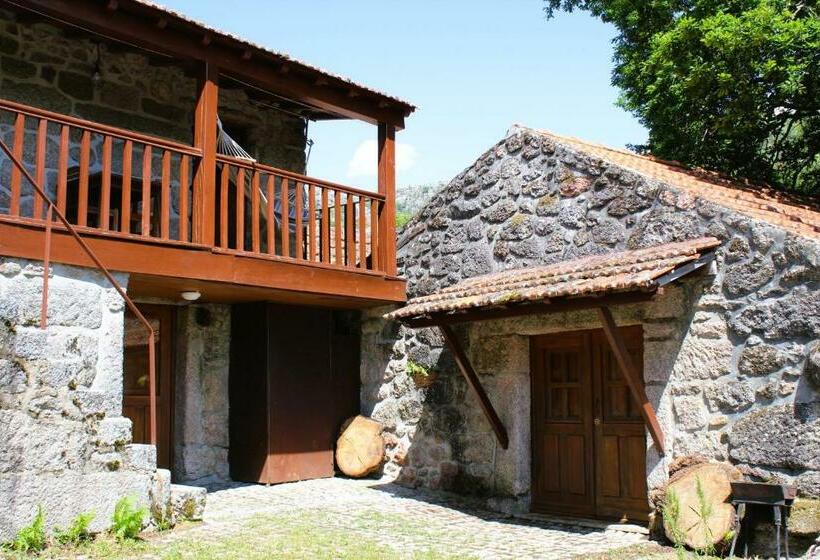 Casa Boletus